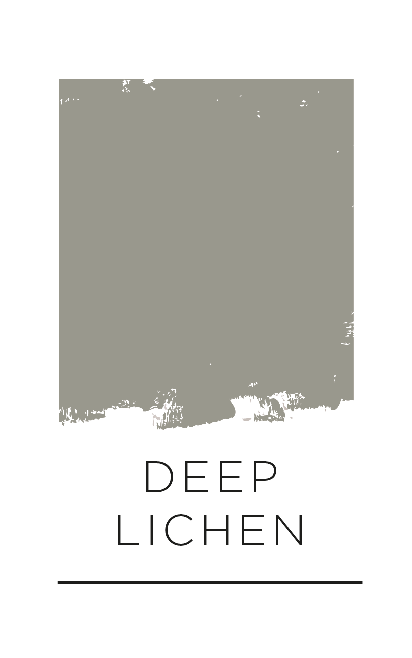 Haddington Kitchens - Deep Lichen Swatch